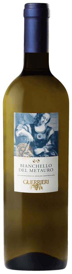 Bianchello del Metauro DOC - Bianchello Witte wijn uit Italië - Marche door Guerrieri