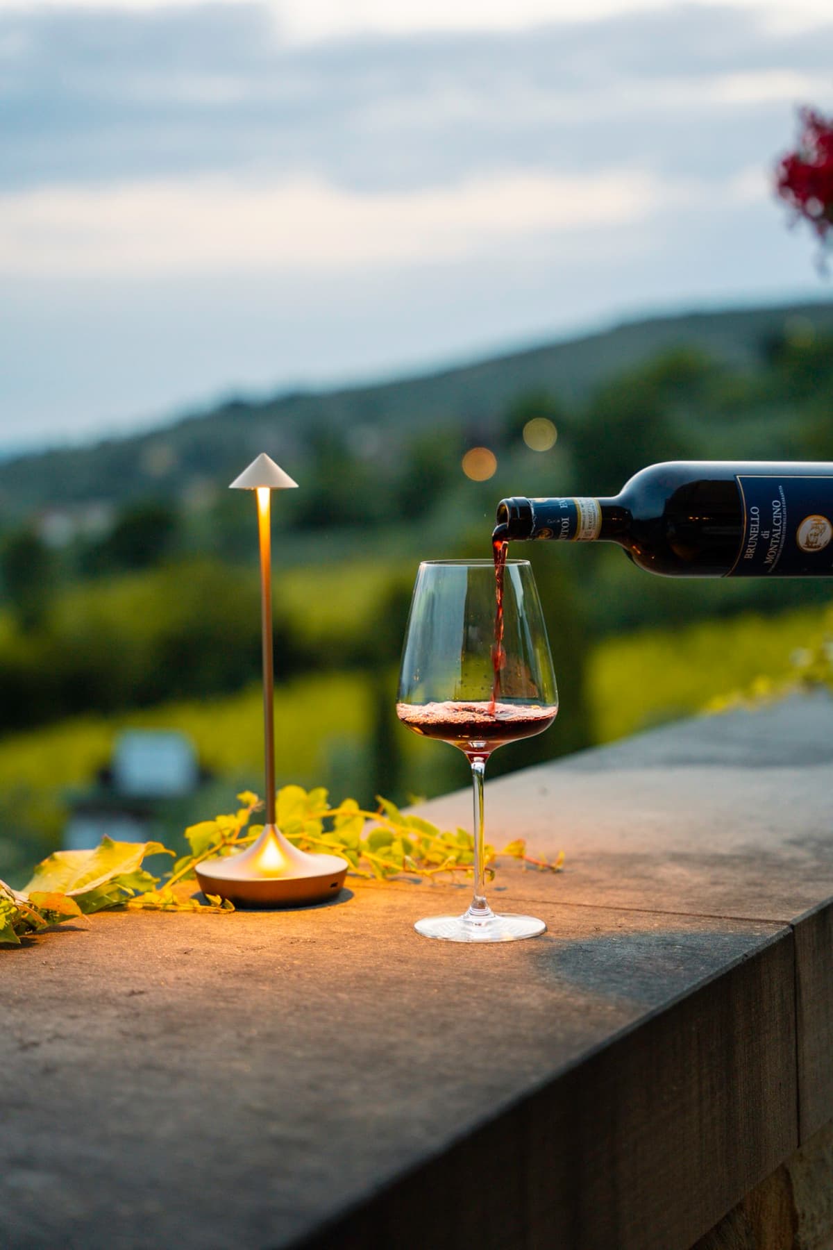 Which Wine for a Barbecue? Red, White and Rosé