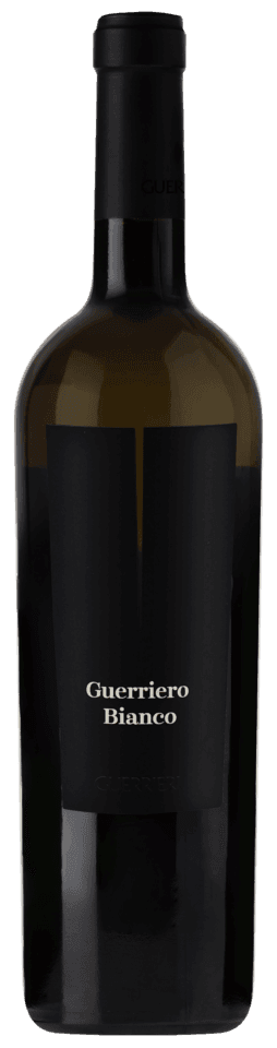 Guerriero Bianco - Bianchello Verdicchio White wine from Italy - Marche by Guerrieri