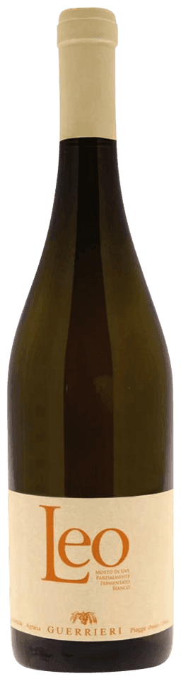 Leo Moscato - Moscato Sparkling wine from Italy - Marche by Guerrieri