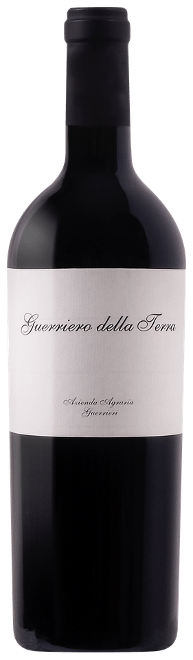 Guerriero Della Terra